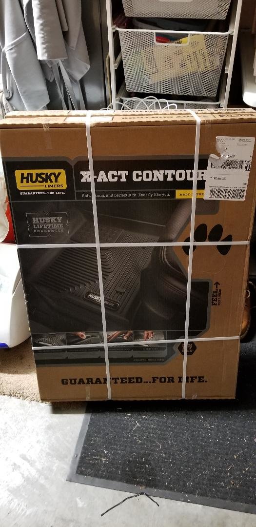 husky.jpg