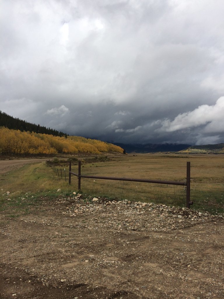Hwy54_1.jpg