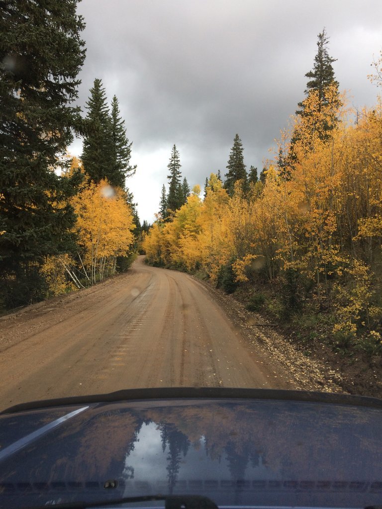 Hwy54_2.jpg