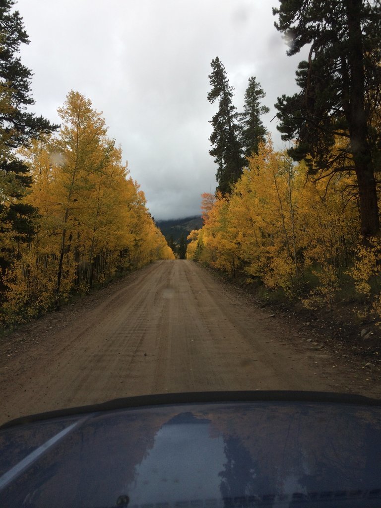 Hwy54_3.jpg