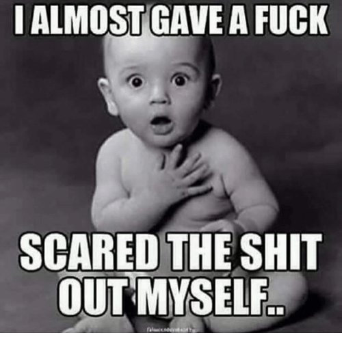 i-almost-gave-a-fuck-scared-the-shit-out-myself-4054931.jpg
