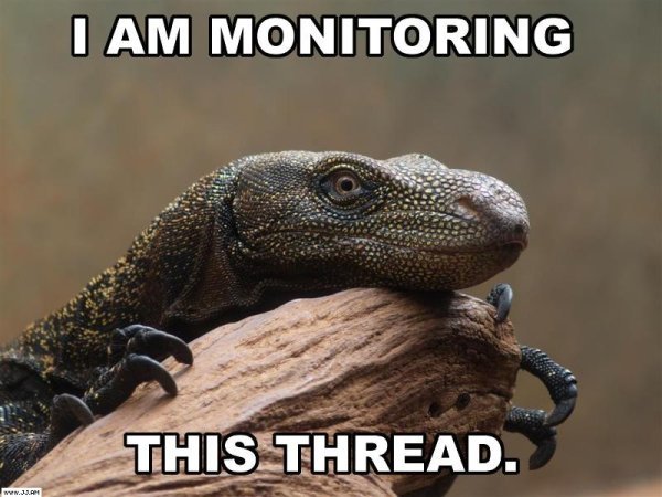 i-am-monitoring-this-thread.jpg