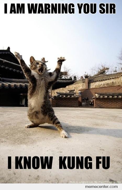 I-Am-Warning-You-Sir-I-Know-Kung-Fu-Funny-Fight-Meme-Image.jpg