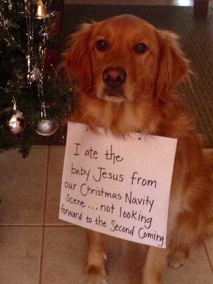 I Ate The Baby Jesus.jpg