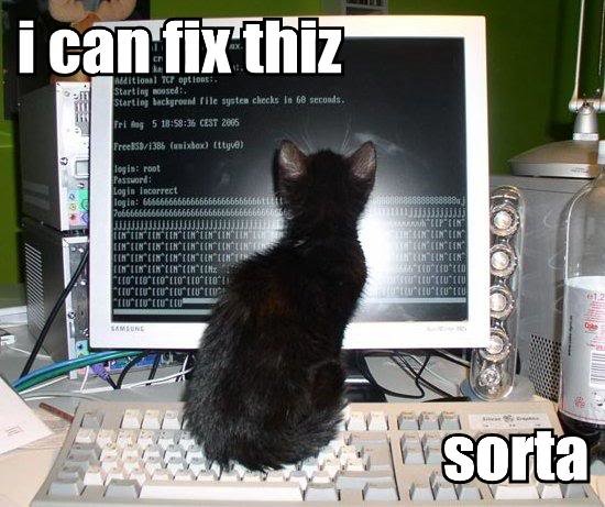 i-can-fix-thiz-sorta_39894bb5ba54e5cb4a3d845e3d81783df1e25fda.jpg