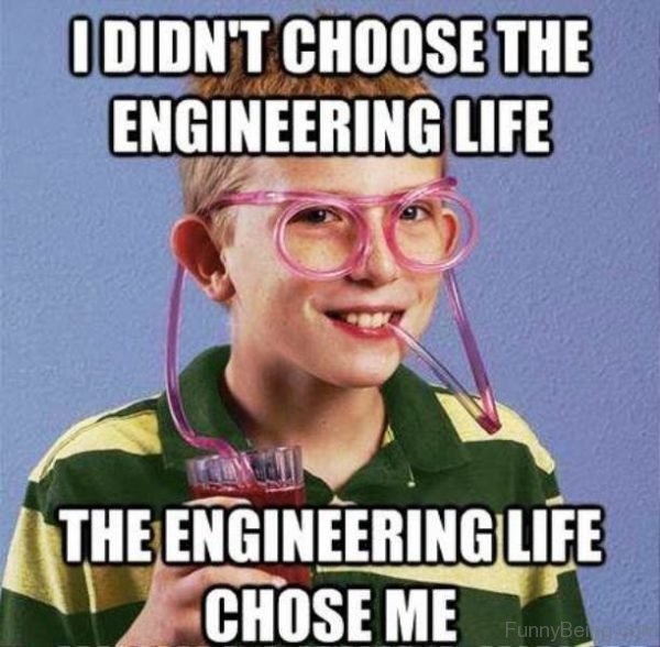I-Didnt-Choose-The-Engineering-Life-600x588.jpg
