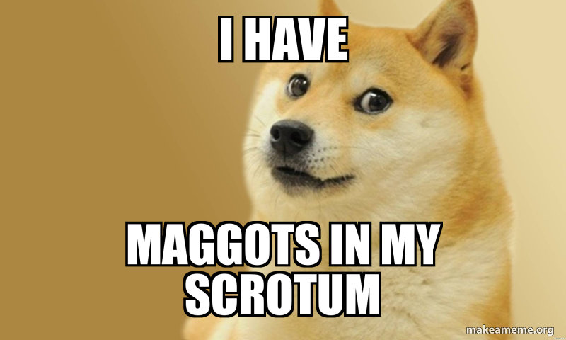 i-have-maggots-bcbb406991.jpg