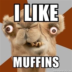 i-like-muffins.jpg