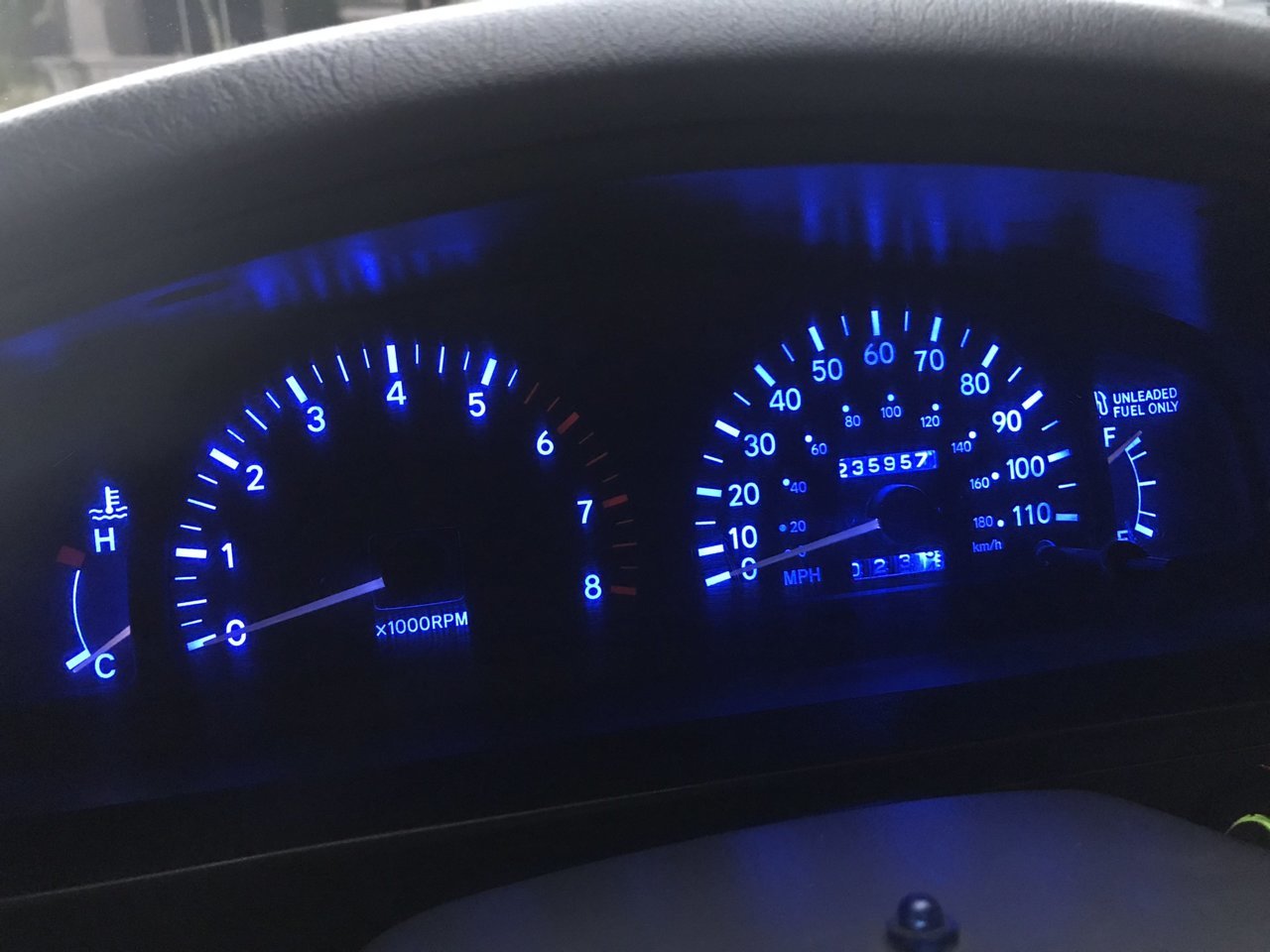 I - Panel Bulbs.jpg