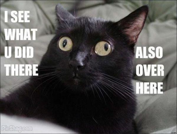 i-see-what-you-did-there-big-1_700ab43c0ec4ff05400453b9bac4565cd4b31822.jpg