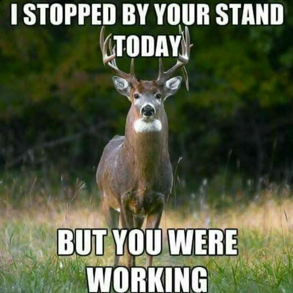 i-stopped-by-your-stand-today-deer-hunting-meme.jpg