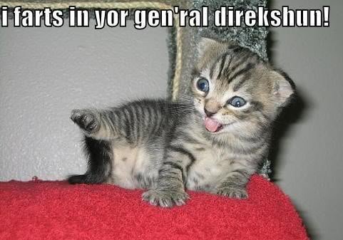 I_Fart_In_Your_General_Direction_0b4ac1692df9cdf1d57bc292ba950dd8d5f36eee.jpg