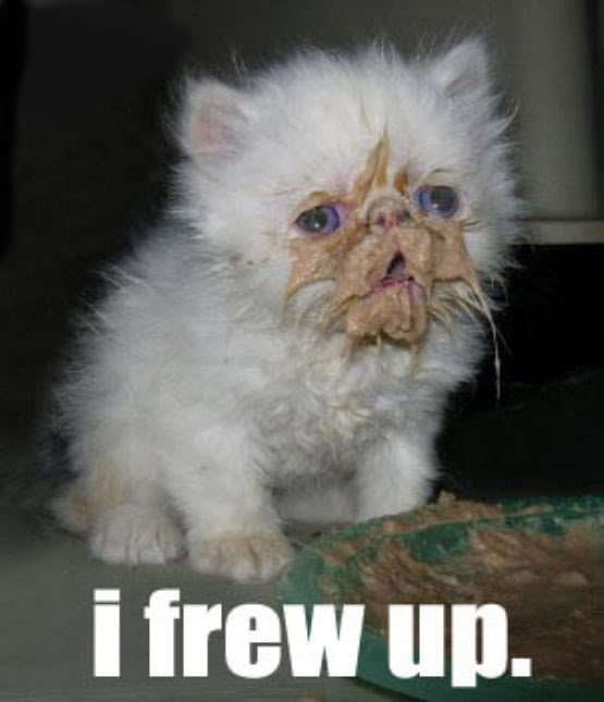 i_frew_up_4be58965f5fff8962402bc73f3ab96a13890675d.jpg