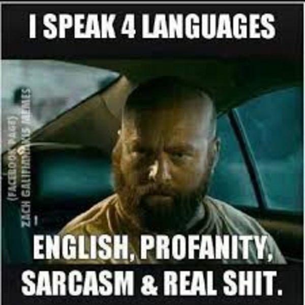 I_speak_4_languages.jpg