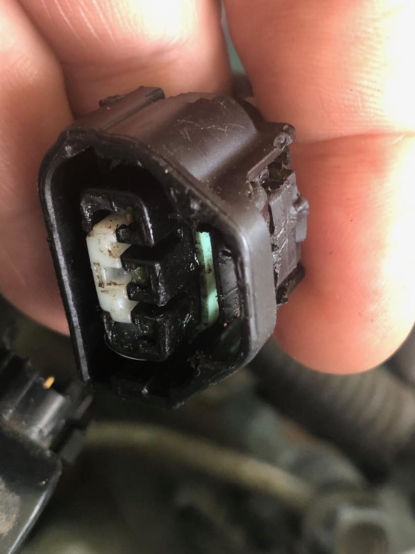 IAC plug.jpg