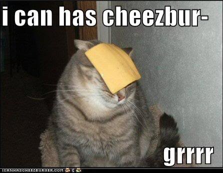 icanhascheezburger_c35da2732153c3e04e88b6209ff170b9d54bef27.jpg