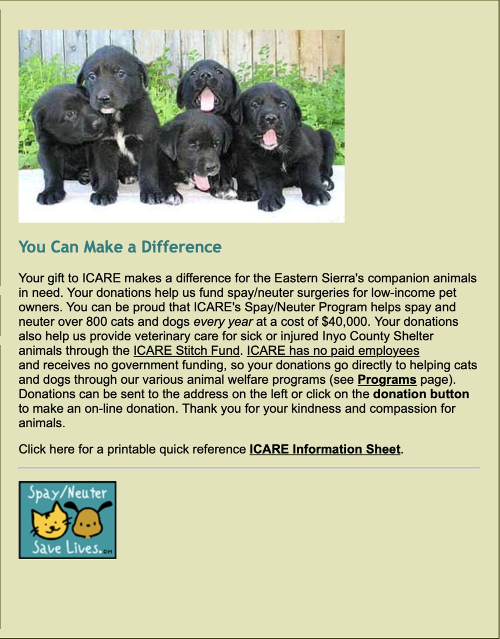 ICARE 1.jpg