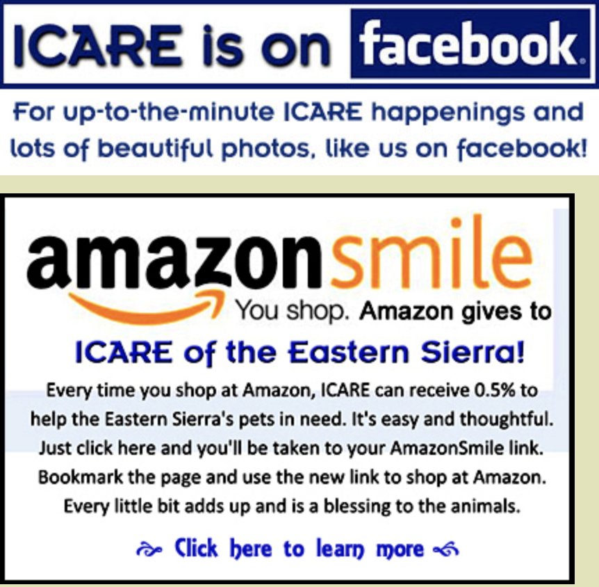 ICARE 3.jpg