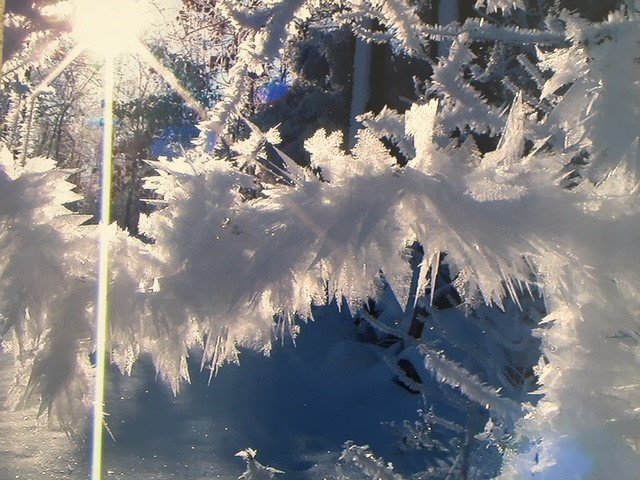 Ice storm 2010 (2).jpg