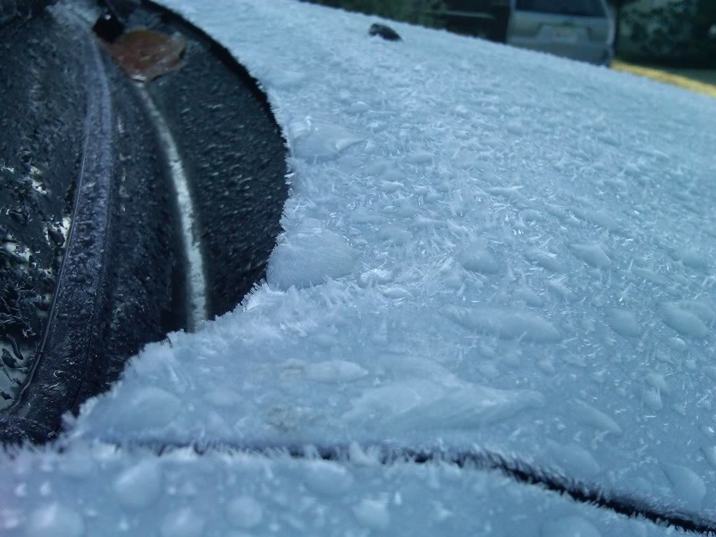 ice4_c43a04e30f9bd2572d7c9076d62bc6f7abf69a8d.jpg