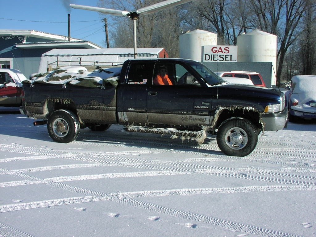 icy_zilla_1.jpg
