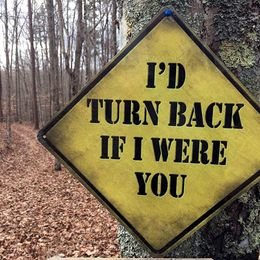 I'd turn back if I were you.jpg