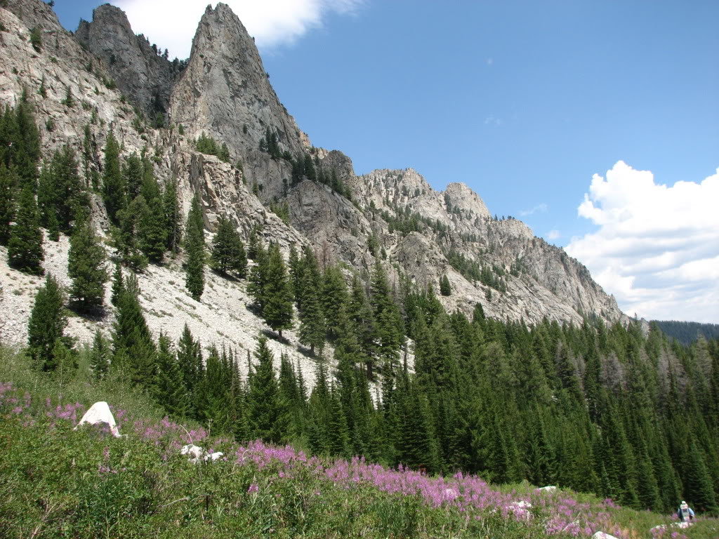 Idaho374_23e5a1676ad473767122803de620471564a48f27.jpg