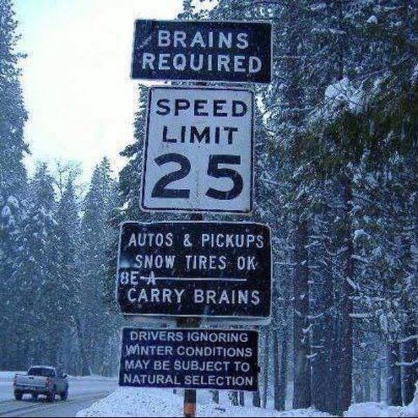 Idiot_Speed_Sign.jpg