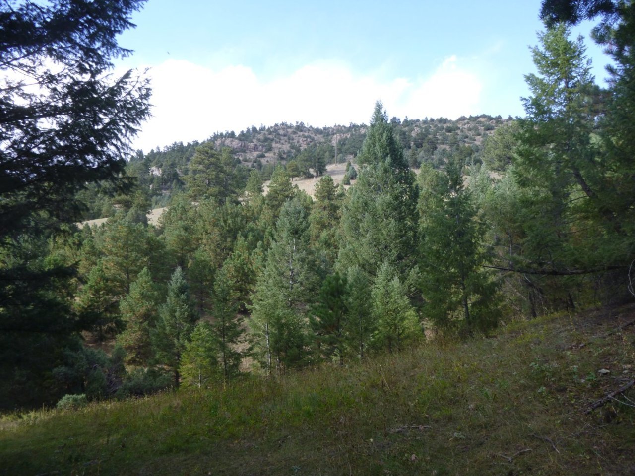 Idledale stairmaster -- down hill up dale.jpg