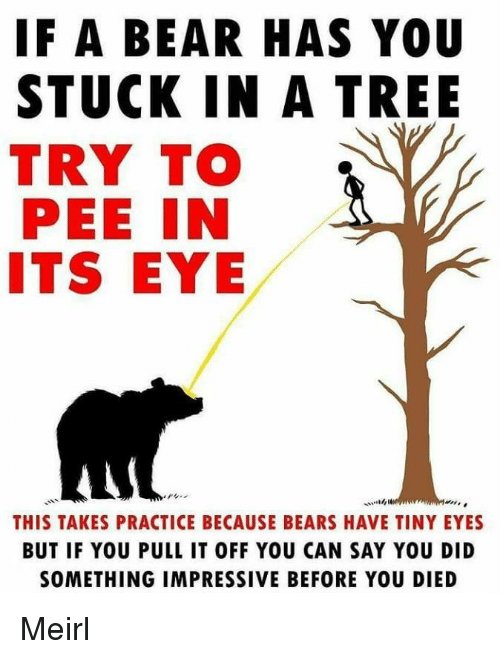 if-a-bear-has-you-stuck-in-a-tree-try-19809754.jpg