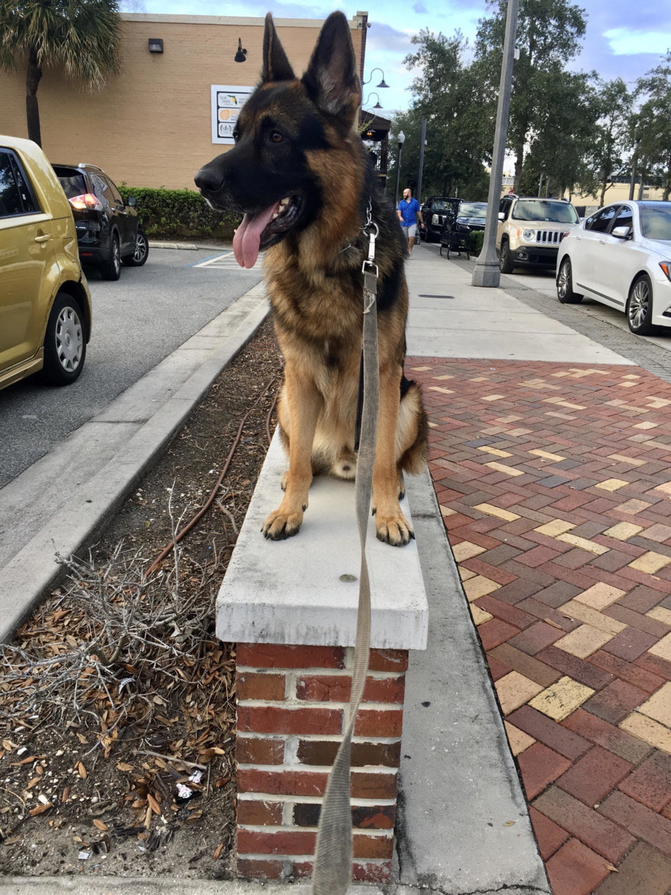 if it fits it sits.jpg