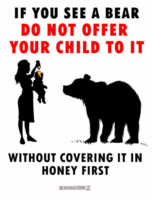if-you-see-a-bear-do-not-offer-your-child-33331795.jpg
