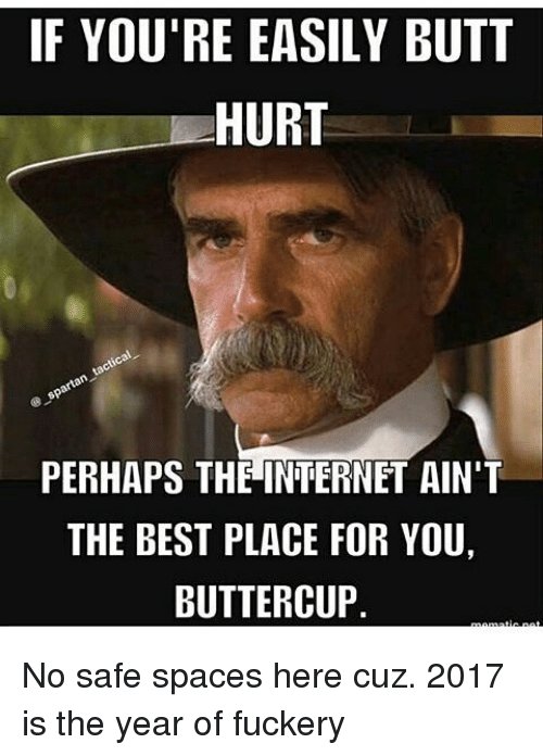 if-youre-easily-butt-hurt-perhaps-the-internet-aint-the-10447783.jpg