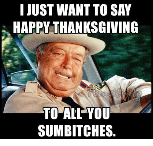 ijustwant-to-say-happy-thanksgiving-to-all-you-sumbitches-7352606.png