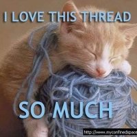 Ilovethisthread_4b1e4469e75ee630dcfce513f885a5583f5c3f69.jpg
