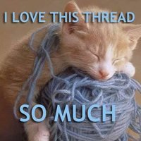 IlovethisthreadSOMUCH_8966b83ad990c9484b408def8684a6c576ac457c.jpg