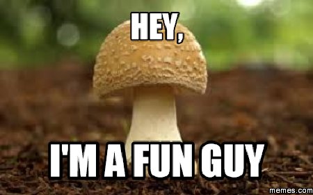 im-a-fun-guy.jpg.jpg
