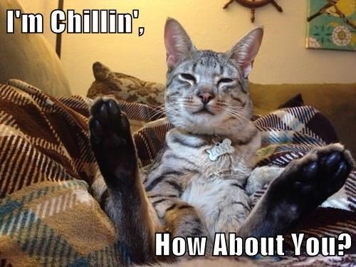im-chillin-how-about-you.jpg