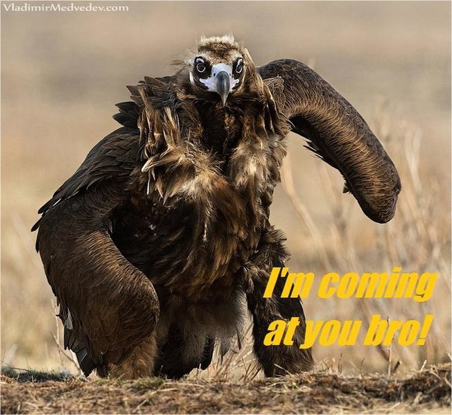 I'm coming at you bro.jpg