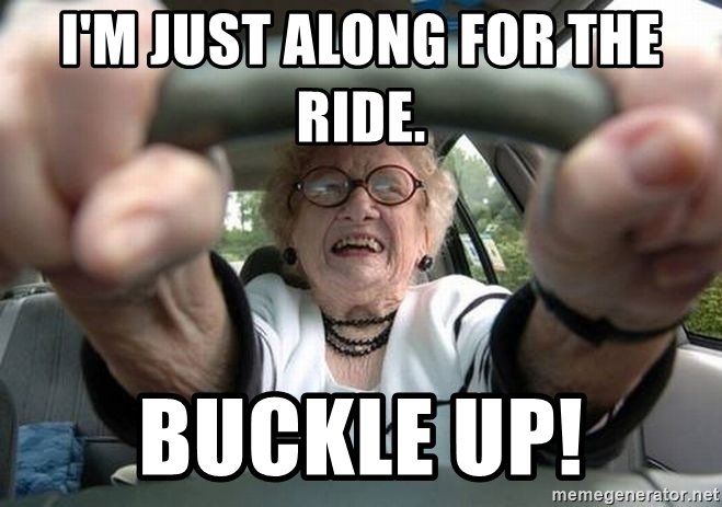 im-just-along-for-the-ride-buckle-up.jpg