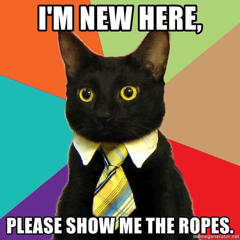 im-new-here-please-show-me-the-ropes.jpg