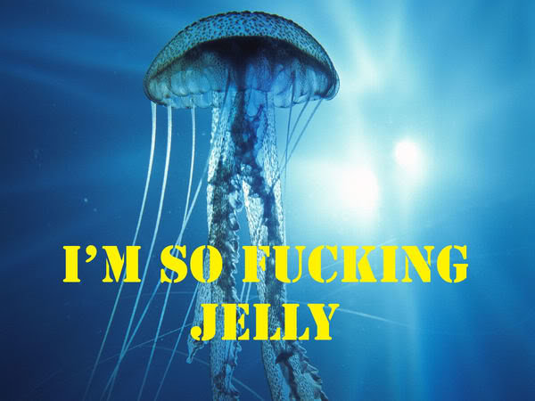 im-so-fucking-jelly_576526e76400991241dde6950bc74d95070daf28.jpg