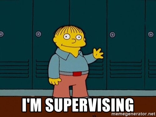im-supervising.jpg