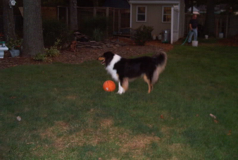 IM000305_1032a395098e41f1121ee11af8c44e6dde63a98f.jpg