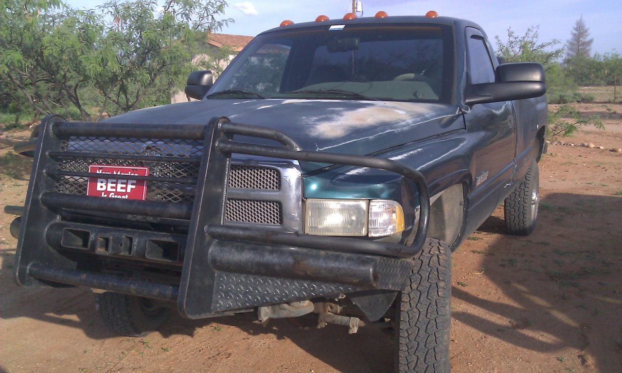 IMAG0010.jpg