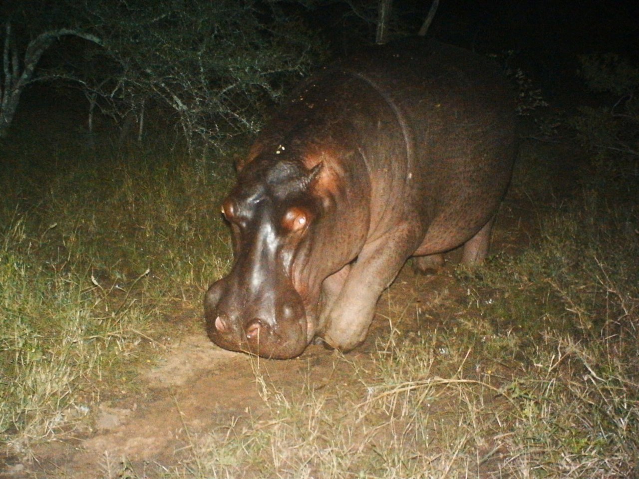 IMAG0014.jpg