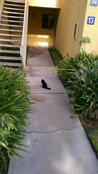 IMAG0036.jpg