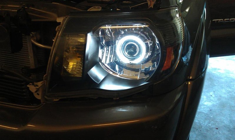 IMAG0042.jpg