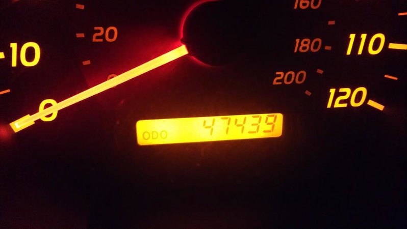 IMAG0043.jpg
