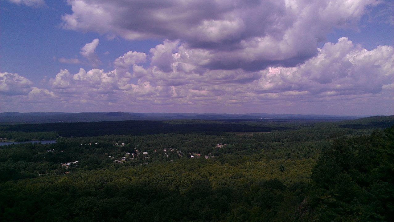 IMAG0049.jpg